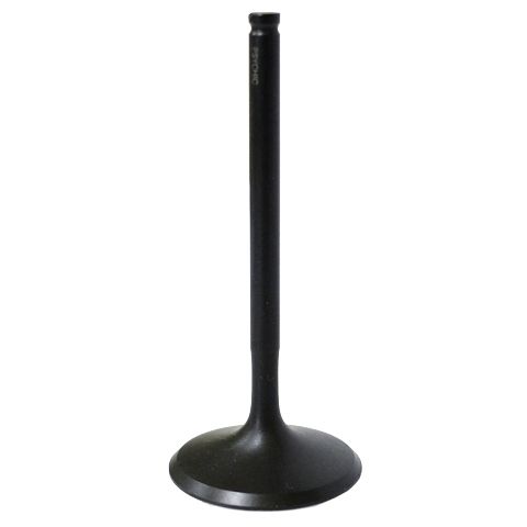 Intake Valve