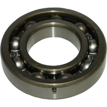 Crankshaft Bearing