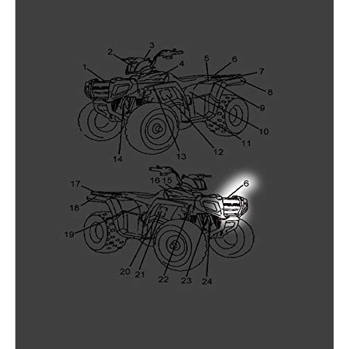 Polaris ATV Door Decal, Right, Genuine OEM Part 7184556, Qty 1