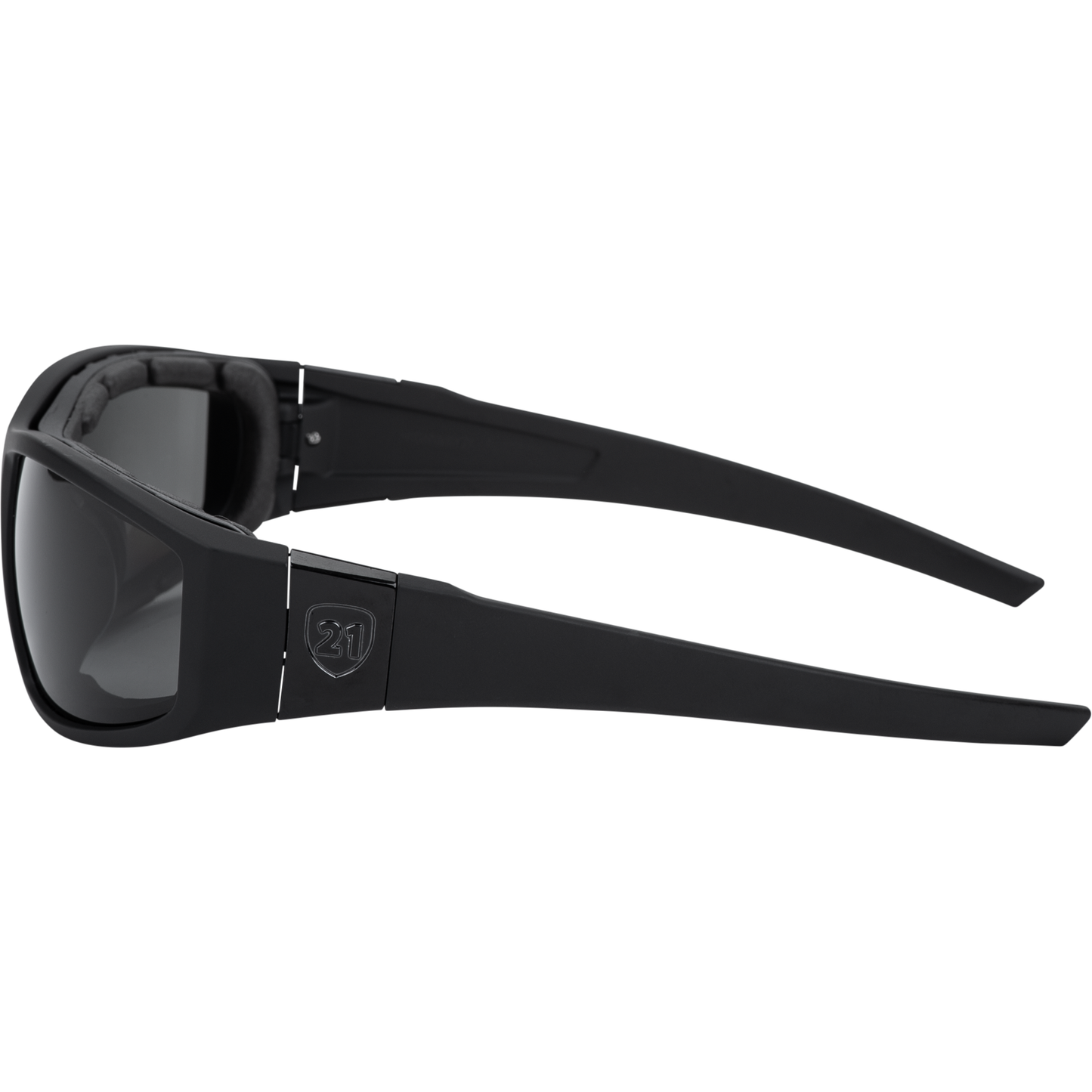 Flatside Hybrid Goggle Black