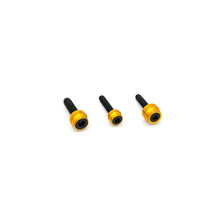 Chacho's Bolt Kit Gold M8 Eng Trans Prim Blk