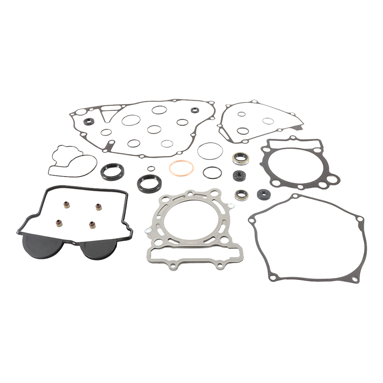 Complete Gasket Set With Oil Seals