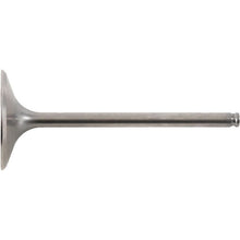 Intake Valve Titanium