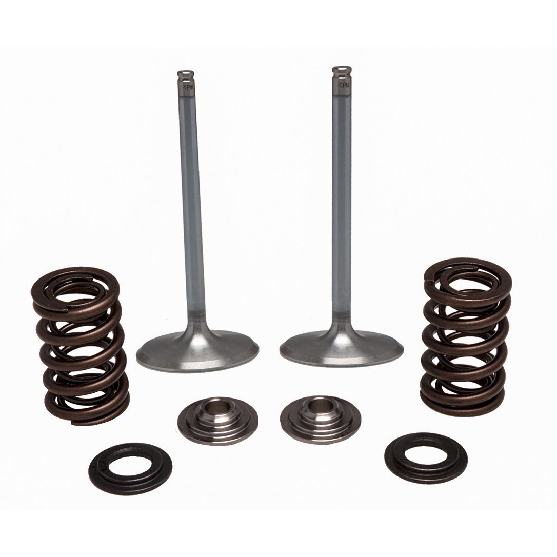 Ss Intake Valve/Spring Kit