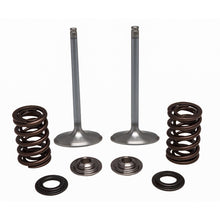 Ss Intake Valve/Spring Kit