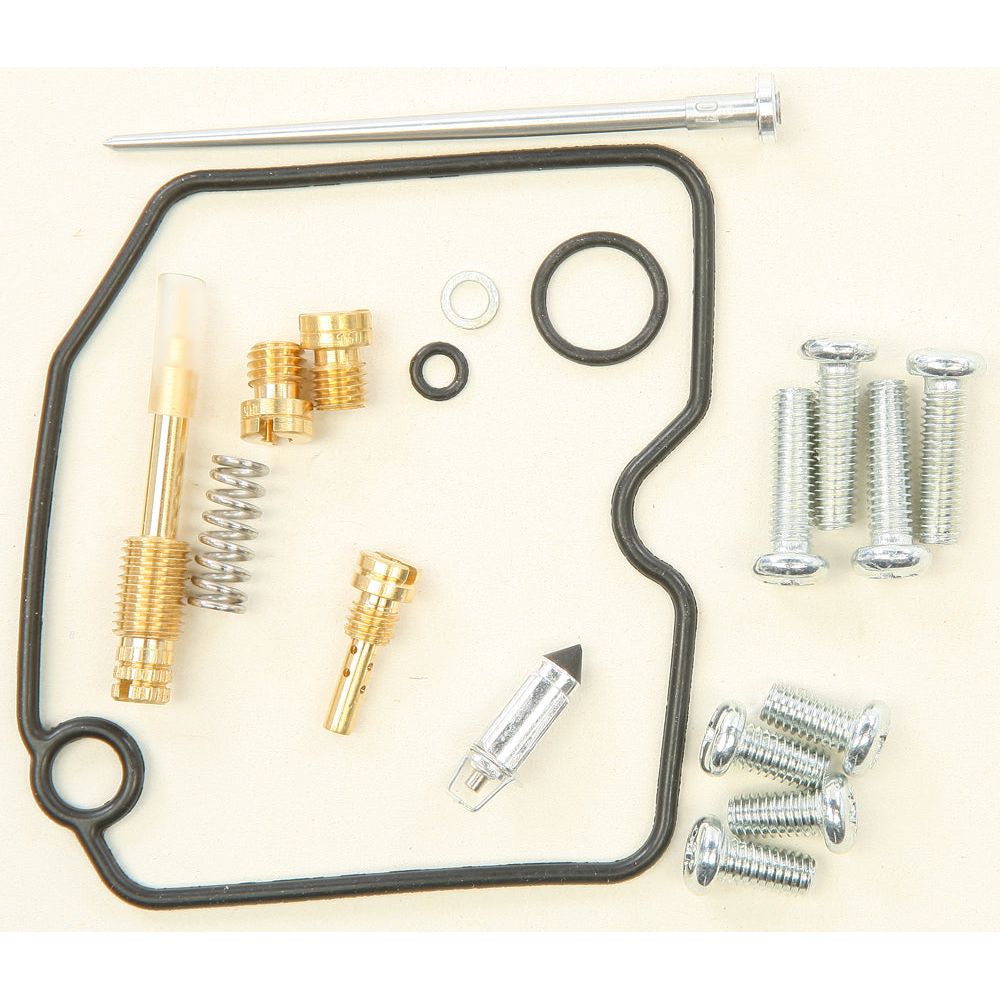 Carburetor Repair Kit