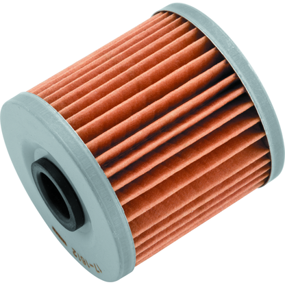 BikeMaster Kawasaki BM-123 Oil Filter - Black