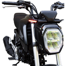 Front Led Turn Signals Hon