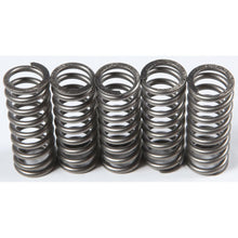 Clutch Springs Csk214