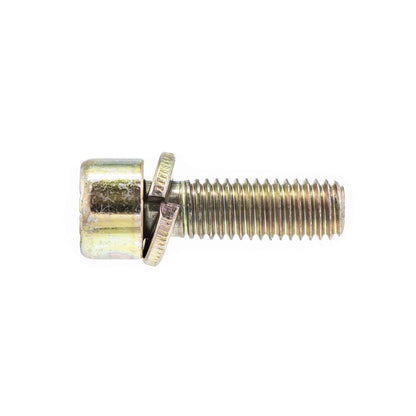 Polaris GEM Screw, Genuine OEM Part 7517322, Qty 1
