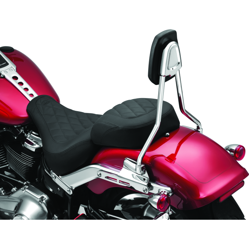 
                      
                        Kuryakyn Sissy Bar For 18-23 Softail Chrome
                      
                    