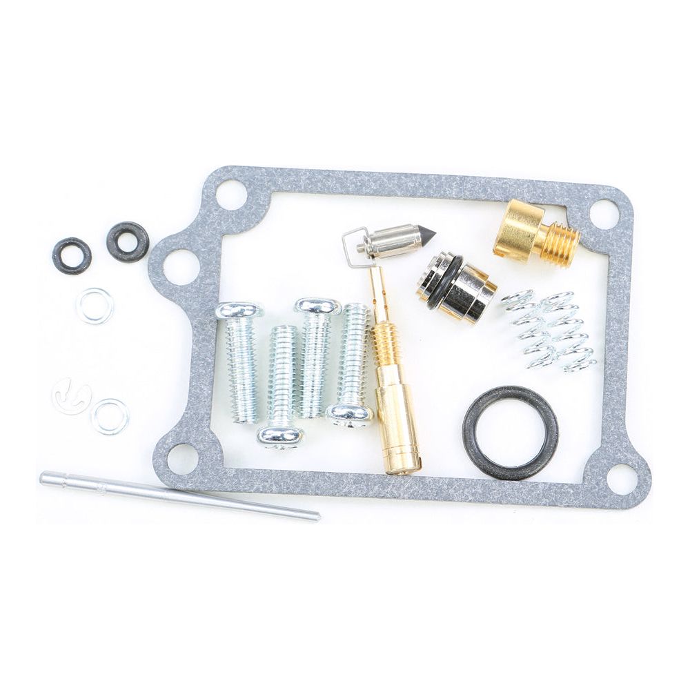 Carburetor Repair Kit