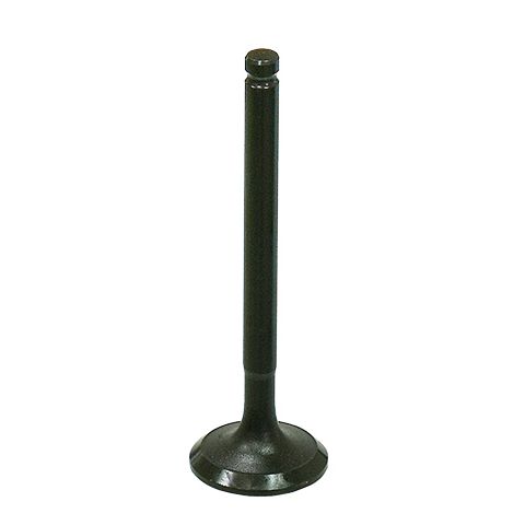 Exhaust Valve