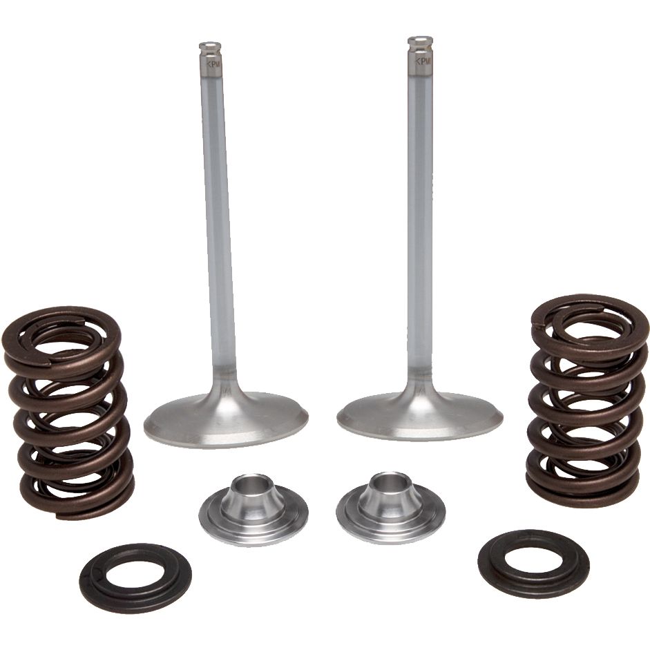 Intake Valve Spring Kit