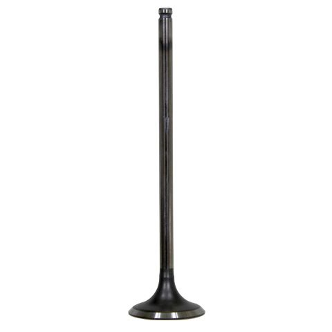 Intake Valve