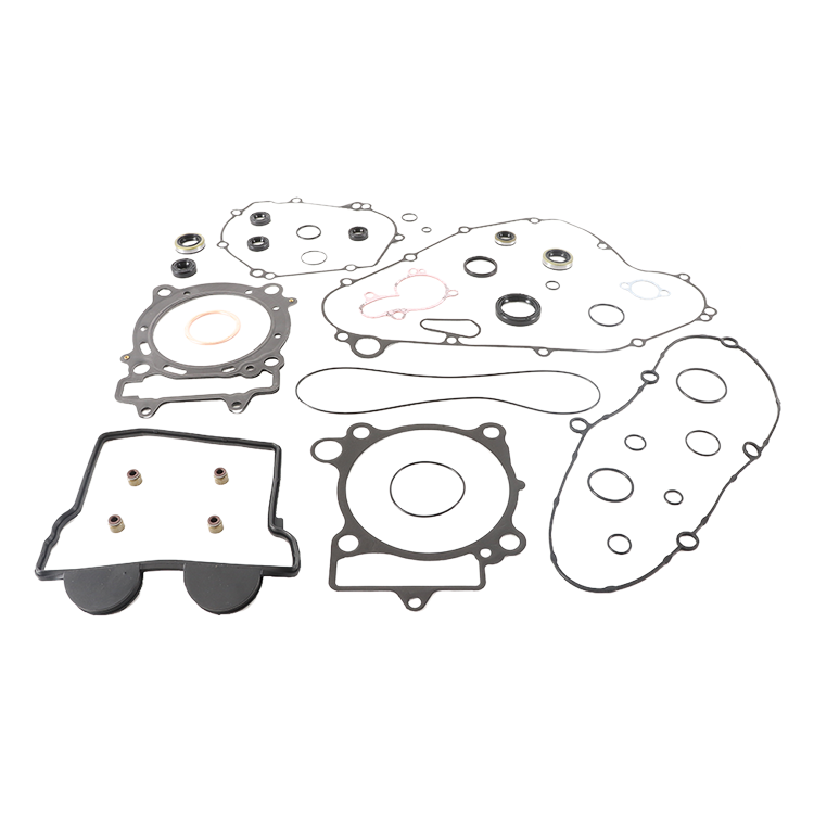 Complete Gasket Set With Oil Seals