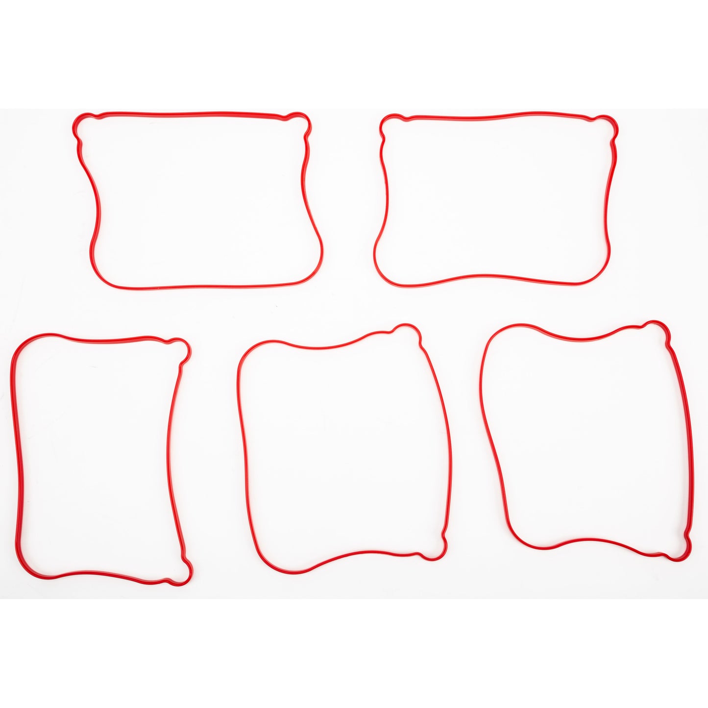 Gasket Rocker Cover Outer 5/Pk 17362 07