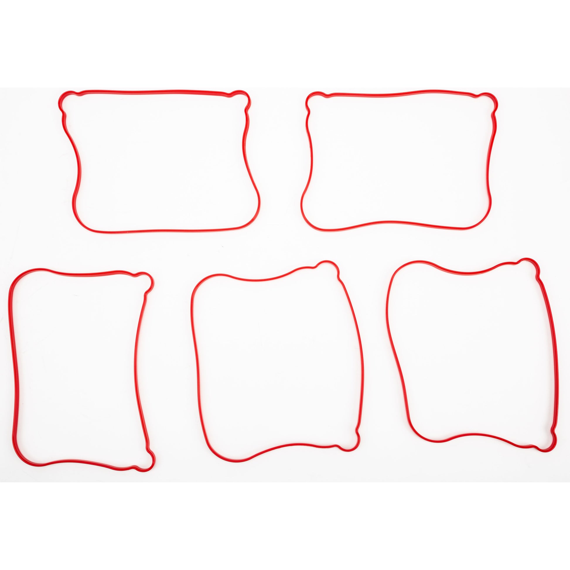 Gasket Rocker Cover Outer 5/Pk 17362 07