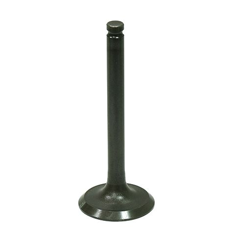 Exhaust Valve