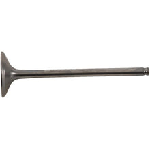 Exhaust Valve Titanium