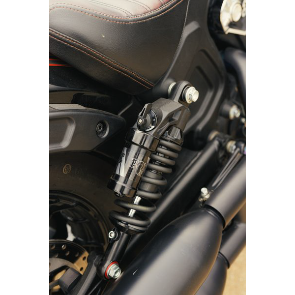 Qs3 Qsr Piggyback Indian Scout Std Spring