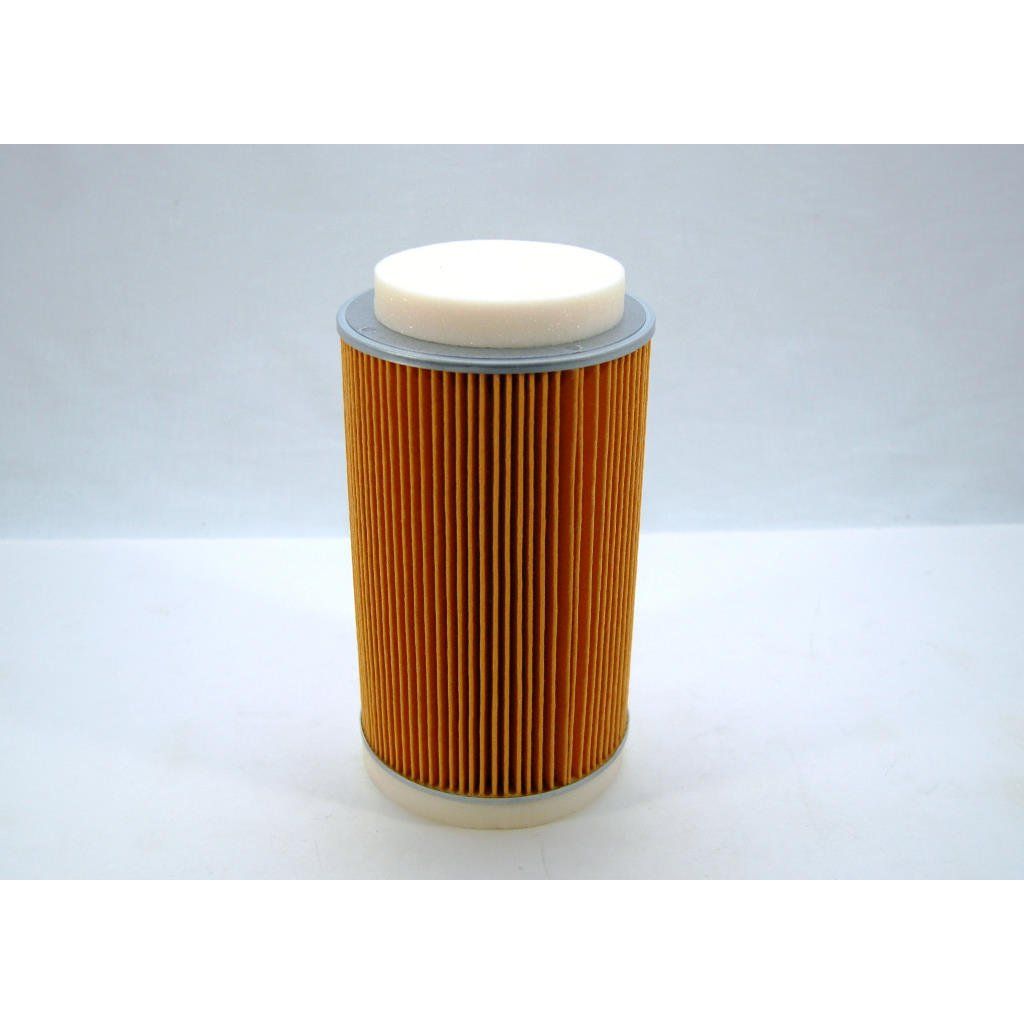 Kawasaki OEM Air Filter Teryx 11029-0025