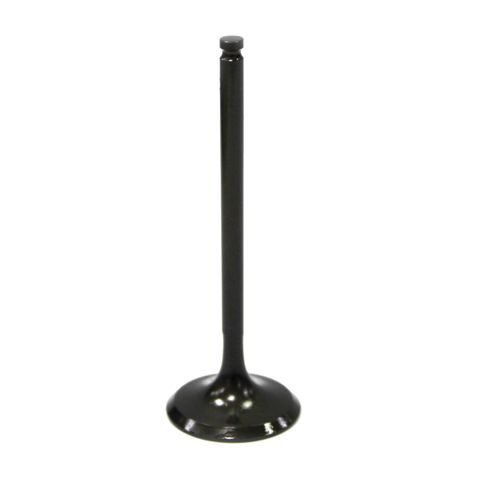 Intake Valve