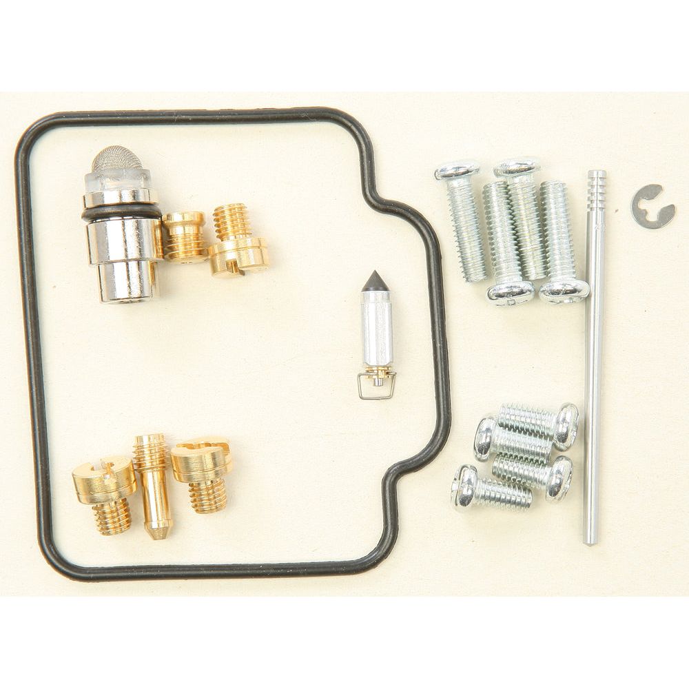 Carburetor Repair Kit