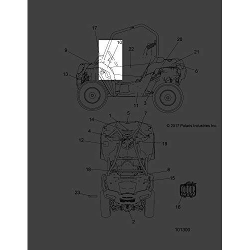 Polaris ATV Cab Decal, Front, Rear, Left, Genuine OEM Part 7186868, Qty 1
