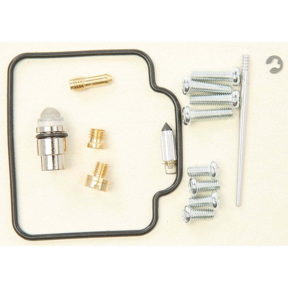 Carburetor Repair Kit