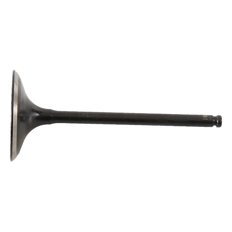 Intake Valve Steel