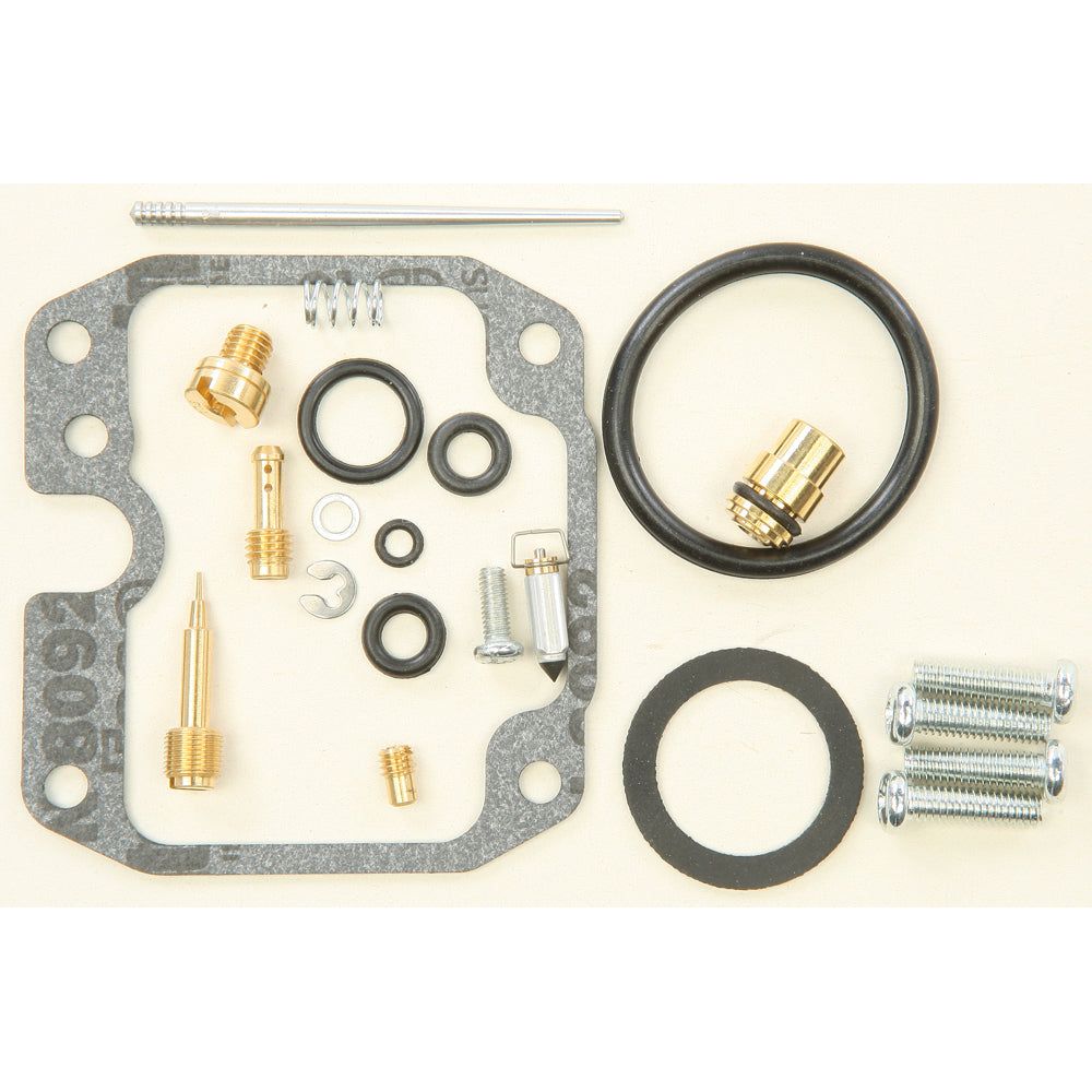 Carburetor Repair Kit