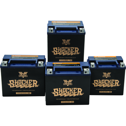 Twin Power YTX-14L Shocker Gel Battery Replaces H-D 65958-04 220 CCA