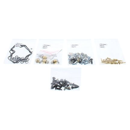 Bike Carburetor Rebuild Kit
