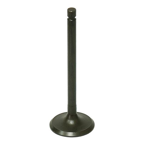 Exhaust Valve