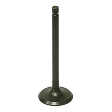 Exhaust Valve