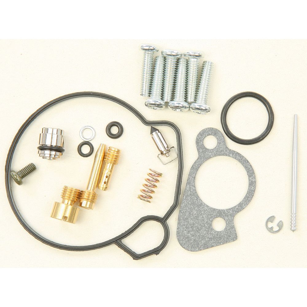 Carburetor Repair Kit