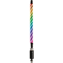 2' Led Whip W/ Controller