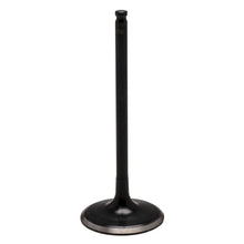 Black Diamond Exhaust Valve