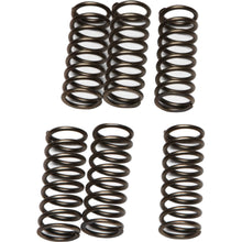 Clutch Springs Csk79
