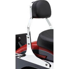 Mini Sissy Bar Chrome Dyna 06 17