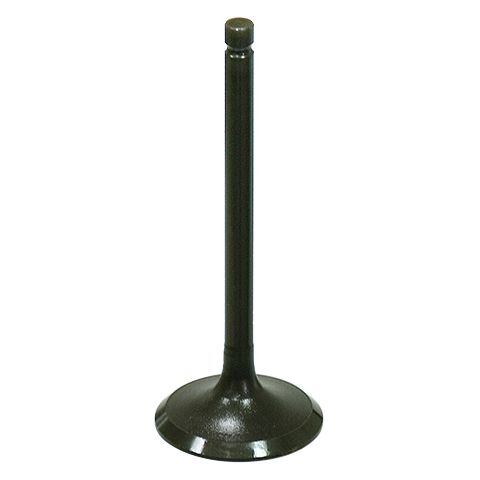 Exhaust Valve