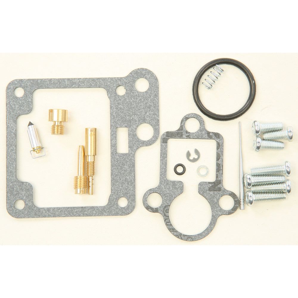 Carburetor Repair Kit