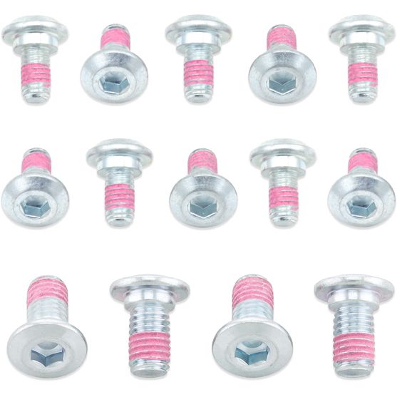 Rotor Bolts Suz/Kaw