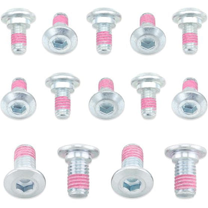 Rotor Bolts Suz/Kaw