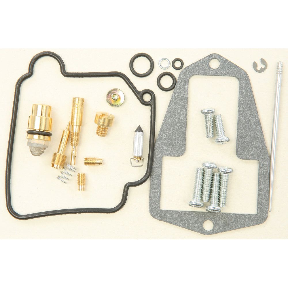 Bike Carburetor Rebuild Kit