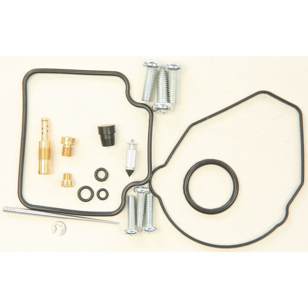 Carburetor Repair Kit