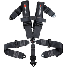 3" 5 Point Cam Lock Harness