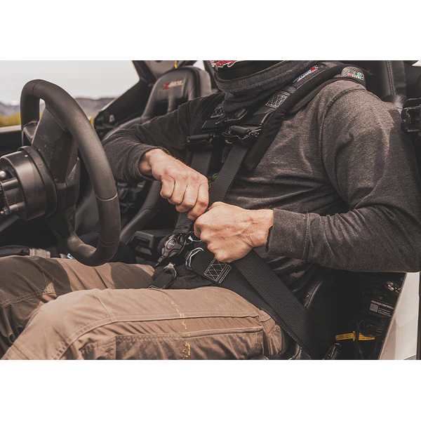 2" 5 Point Cam Lock Harness