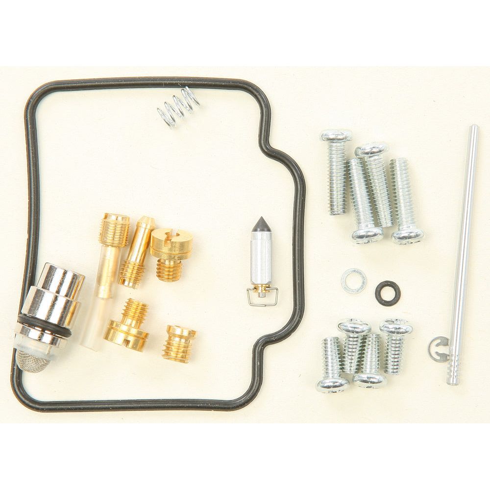 Carburetor Repair Kit